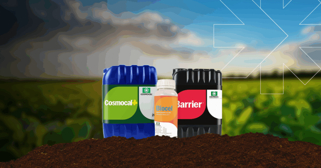 Produtos-Cosmocel-1068x558