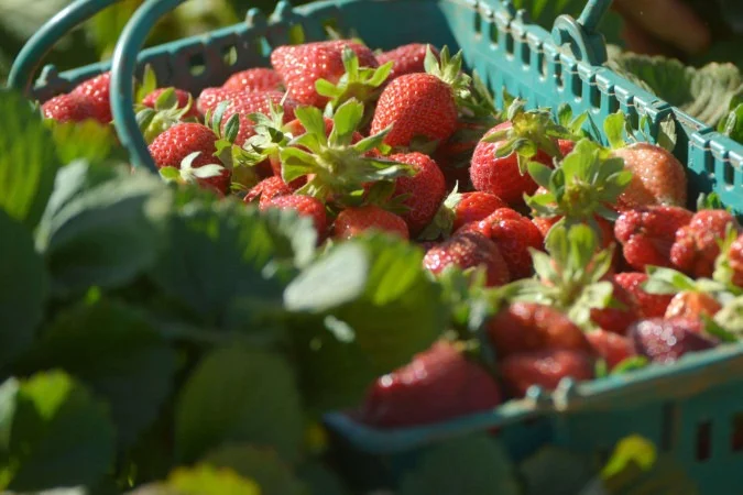 1_04092025ea-02-58994104