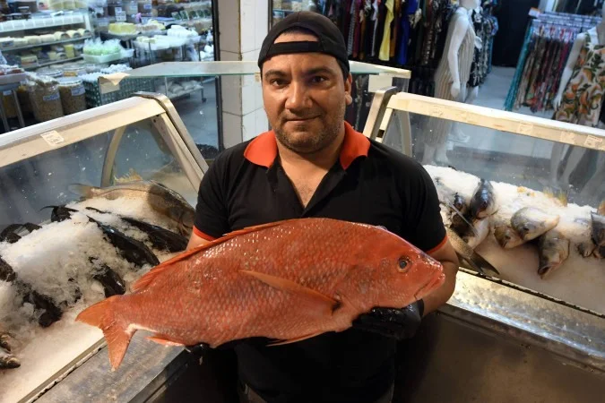 1_19022026mf10-64496970