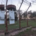 1_whatsapp-image-2026-02-04-at-20-01-31-16x9-64007378